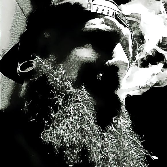 Meet your Posher, Niko - Picture 1 of 1